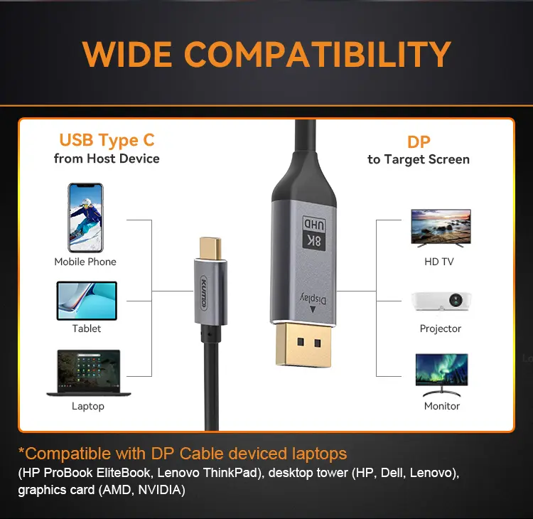 Type-C to Displayport 1